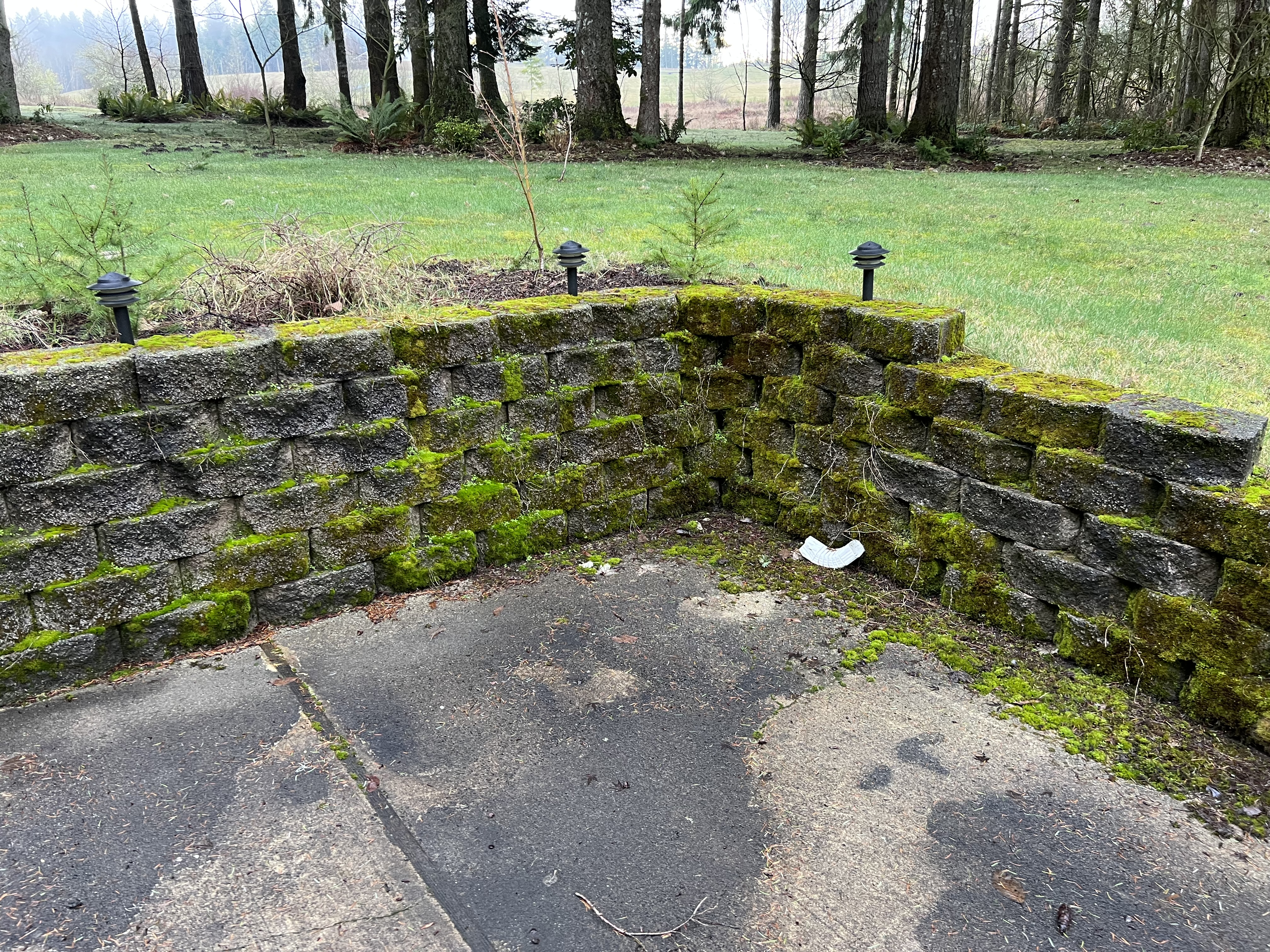 Pressure Washing in Rochester, WA Thumbnail